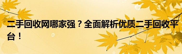 二手回收网哪家强？全面解析优质二手回收平台！