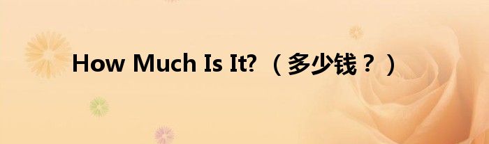 How Much Is It? （多少钱？）