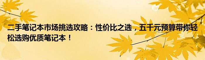 二手笔记本市场挑选攻略：性价比之选，五千元预算带你轻松选购优质笔记本！