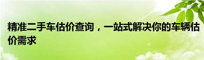 精准二手车估价查询，一站式解决你的车辆估价需求