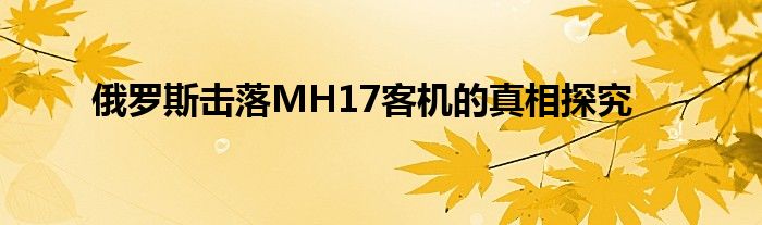 俄罗斯击落MH17客机的真相探究