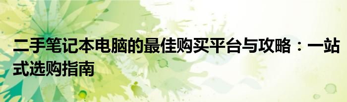 二手笔记本电脑的最佳购买平台与攻略：一站式选购指南