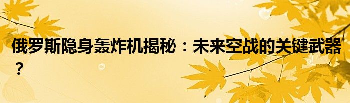 俄罗斯隐身轰炸机揭秘：未来空战的关键武器？