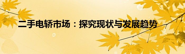 二手电轿市场：探究现状与发展趋势