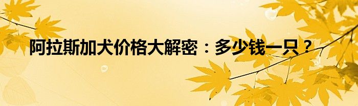 阿拉斯加犬价格大解密：多少钱一只？