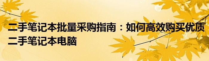 二手笔记本批量采购指南：如何高效购买优质二手笔记本电脑