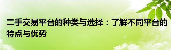 二手交易平台的种类与选择：了解不同平台的特点与优势