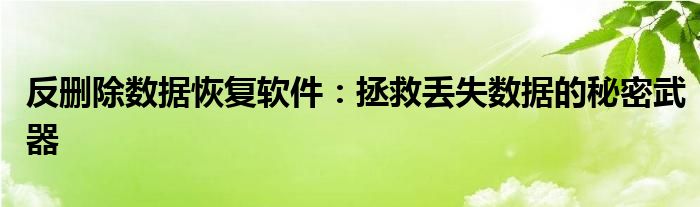 反删除数据恢复软件：拯救丢失数据的秘密武器