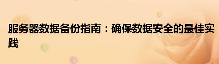 服务器数据备份指南：确保数据安全的最佳实践