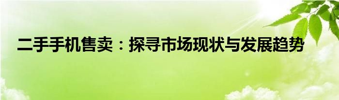 二手手机售卖：探寻市场现状与发展趋势