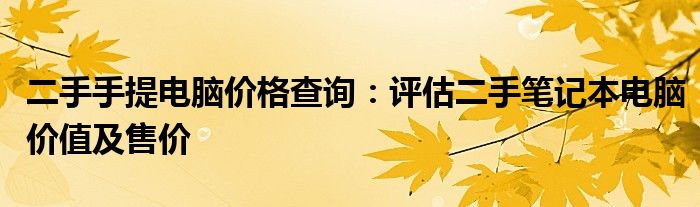 二手手提电脑价格查询：评估二手笔记本电脑价值及售价