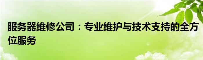 服务器维修公司：专业维护与技术支持的全方位服务