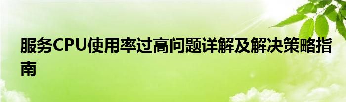 服务CPU使用率过高问题详解及解决策略指南