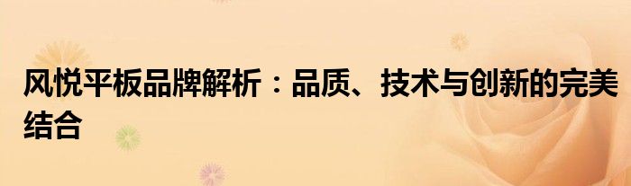 风悦平板品牌解析：品质、技术与创新的完美结合