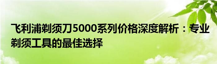 飞利浦剃须刀5000系列价格深度解析：专业剃须工具的最佳选择