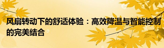 风扇转动下的舒适体验：高效降温与智能控制的完美结合