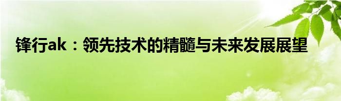 锋行ak：领先技术的精髓与未来发展展望