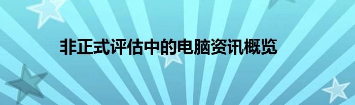 非正式评估中的电脑资讯概览