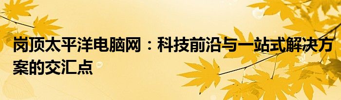 岗顶太平洋电脑网：科技前沿与一站式解决方案的交汇点