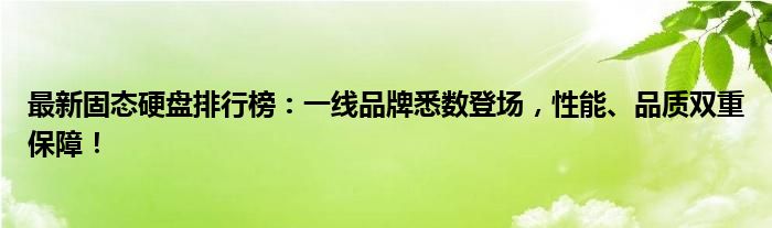 最新固态硬盘排行榜：一线品牌悉数登场，性能、品质双重保障！