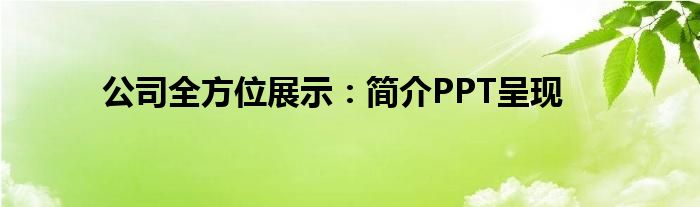 公司全方位展示：简介PPT呈现