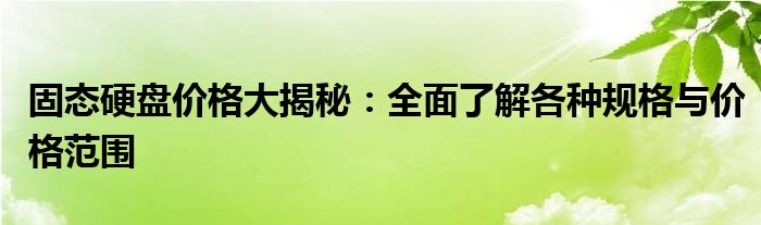 固态硬盘价格大揭秘：全面了解各种规格与价格范围