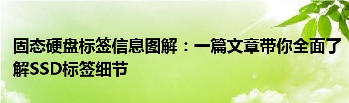 固态硬盘标签信息图解：一篇文章带你全面了解SSD标签细节