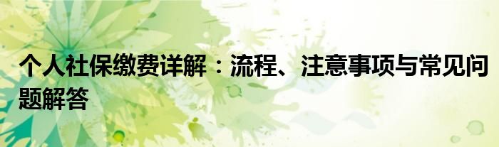 个人社保缴费详解：流程、注意事项与常见问题解答