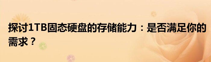 探讨1TB固态硬盘的存储能力：是否满足你的需求？