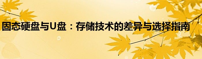 固态硬盘与U盘：存储技术的差异与选择指南