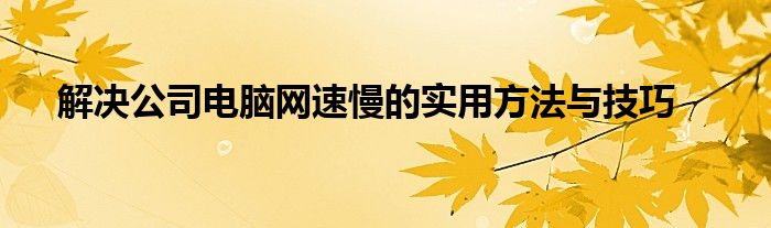 解决公司电脑网速慢的实用方法与技巧