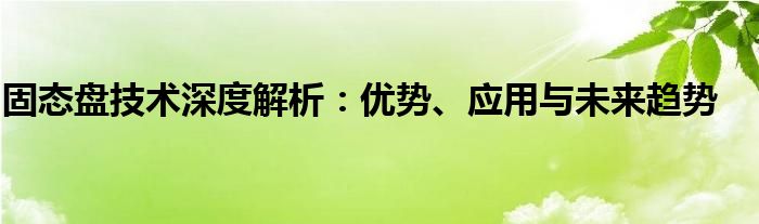 固态盘技术深度解析：优势、应用与未来趋势