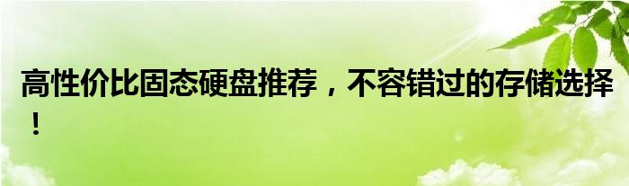 高性价比固态硬盘推荐，不容错过的存储选择！