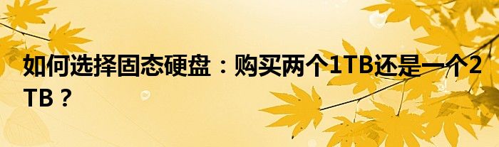 如何选择固态硬盘：购买两个1TB还是一个2TB？