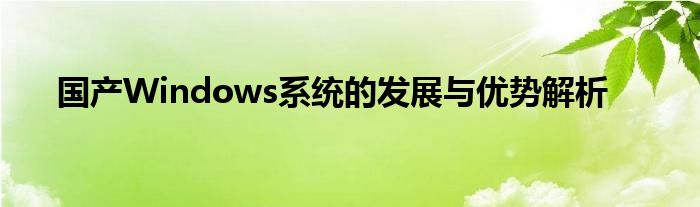 国产Windows系统的发展与优势解析