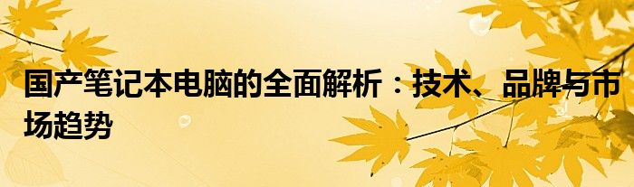 国产笔记本电脑的全面解析：技术、品牌与市场趋势