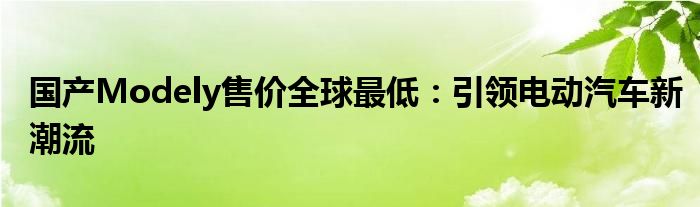 国产Modely售价全球最低：引领电动汽车新潮流