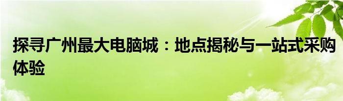 探寻广州最大电脑城：地点揭秘与一站式采购体验