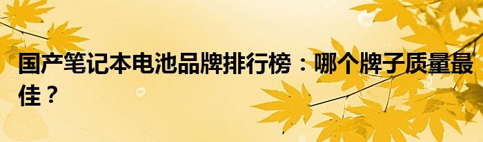 国产笔记本电池品牌排行榜：哪个牌子质量最佳？