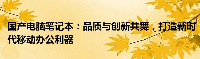 国产电脑笔记本：品质与创新共舞，打造新时代移动办公利器