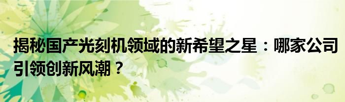 揭秘国产光刻机领域的新希望之星：哪家公司引领创新风潮？