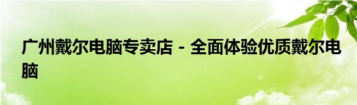 广州戴尔电脑专卖店 - 全面体验优质戴尔电脑