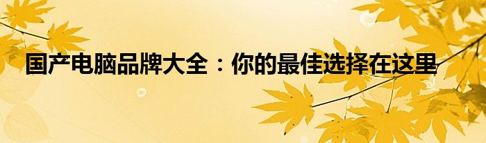 国产电脑品牌大全：你的最佳选择在这里