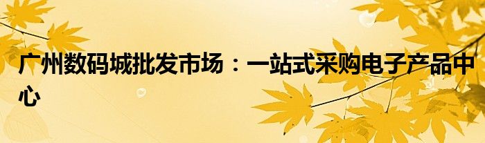 广州数码城批发市场：一站式采购电子产品中心