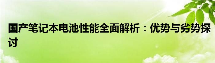 国产笔记本电池性能全面解析：优势与劣势探讨