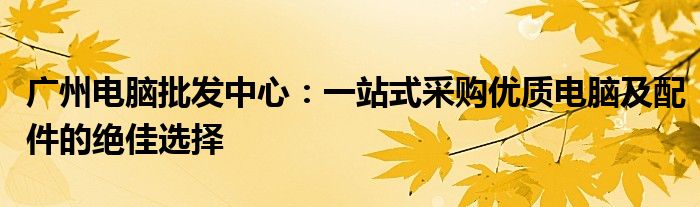 广州电脑批发中心：一站式采购优质电脑及配件的绝佳选择