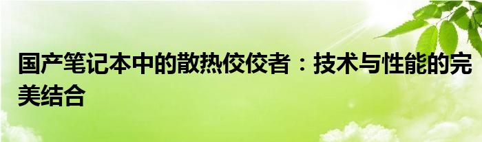 国产笔记本中的散热佼佼者：技术与性能的完美结合