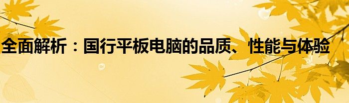 全面解析：国行平板电脑的品质、性能与体验