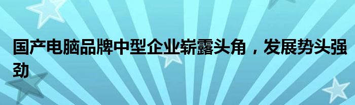 国产电脑品牌中型企业崭露头角，发展势头强劲