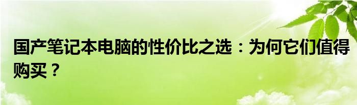 国产笔记本电脑的性价比之选：为何它们值得购买？